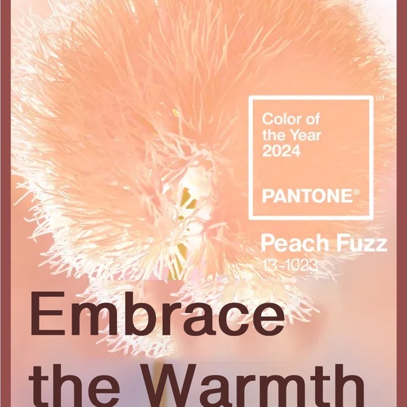 ✨MOOD BOARD✨ - Picture 3 of 15